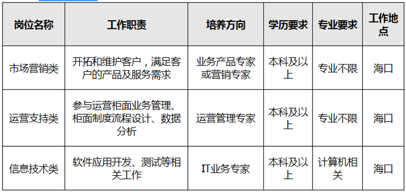 海南IT外包